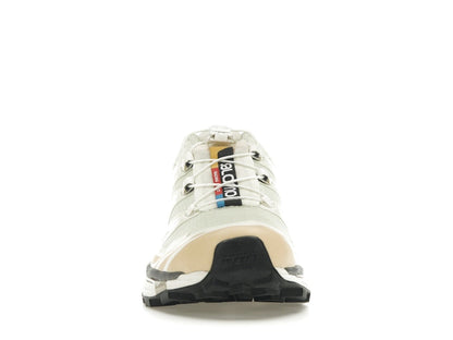Salomon XT-6 Aloe Wash Feather Grey