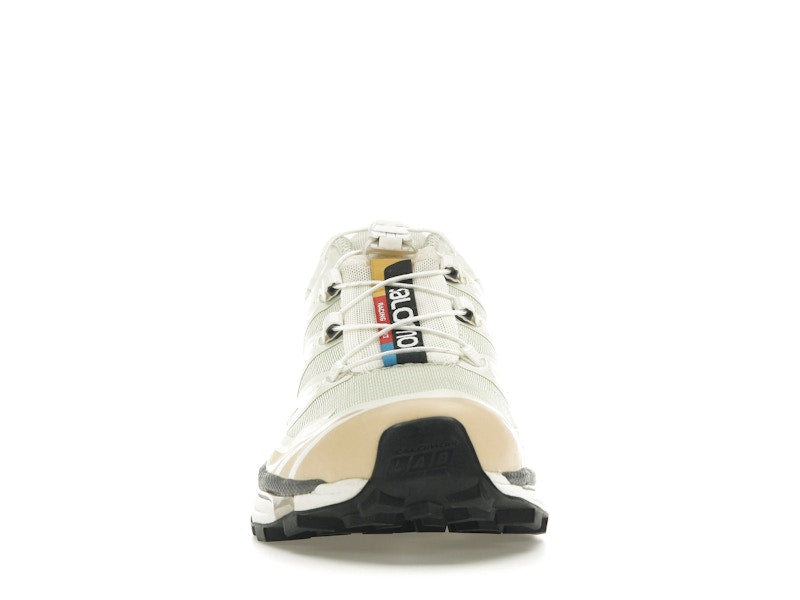 Salomon XT-6 Aloe Wash Feather Grey