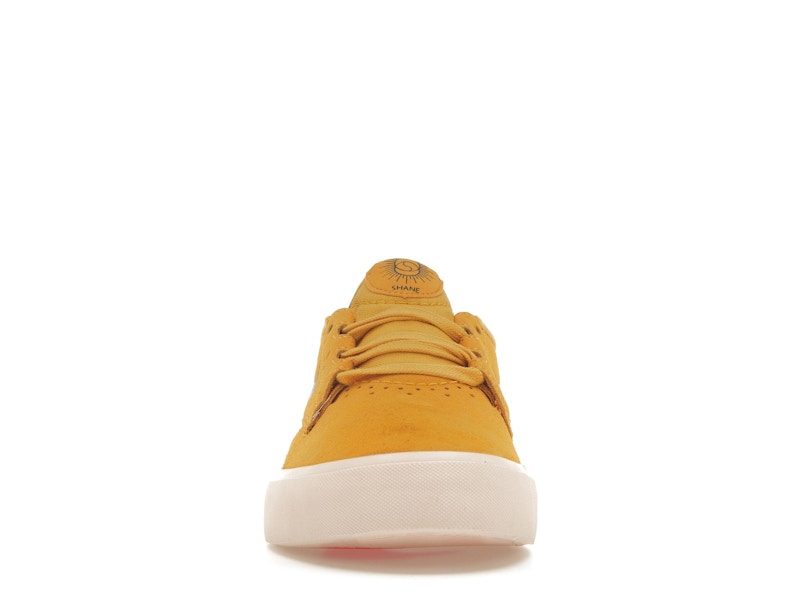Nike SB Shane T Pollen