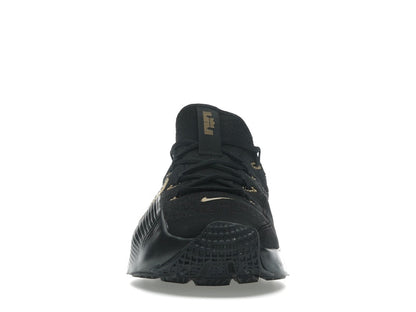 Nike LeBron TR 1 Black Metallic Gold