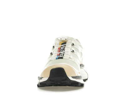Salomon XT-6 Aloe Wash Feather Grey