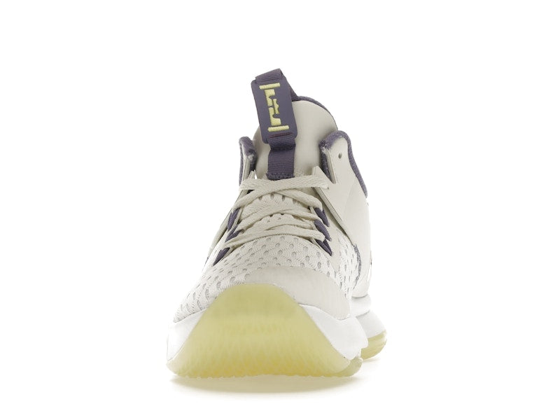 Nike LeBron Witness 5 Summit White Metallic Bronze