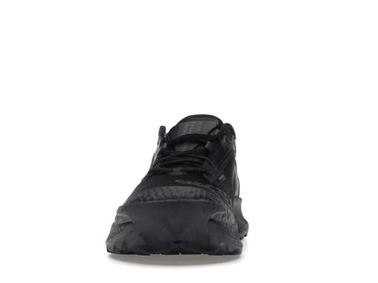 Nike Pegasus Trail 3 Gore-Tex Black Dark Smoke Grey