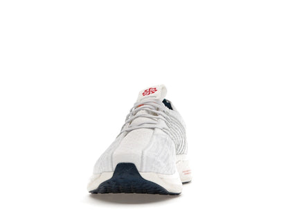 Nike Pegasus Turbo Next Nature Pure Platinum Valerian Blue
