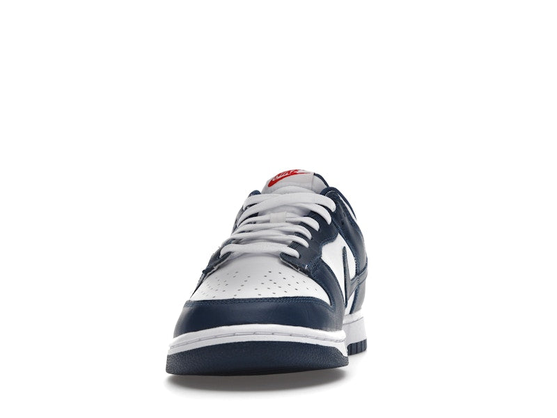 Nike Dunk Low Valerian Blue
