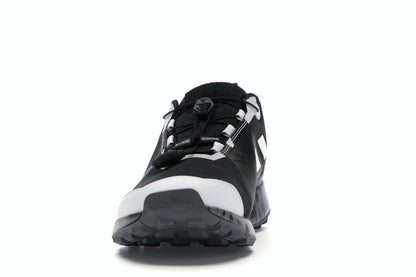 adidas Terrex Two GTX White Mountaineering