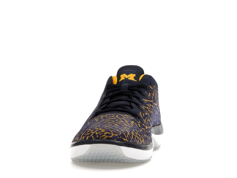 Jordan Trainer 1 Low Michigan