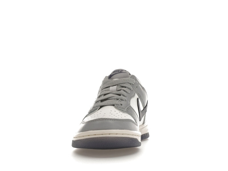 Nike Dunk Low Platinum Tint Light Carbon (GS)