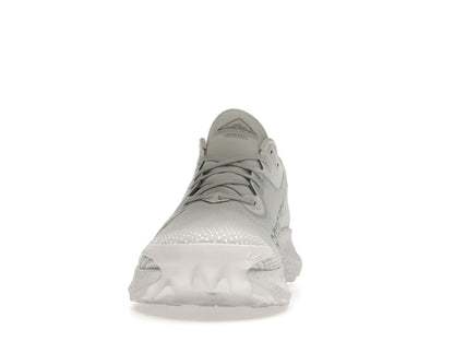 Nike Pegasus Trail 2 Gore-Tex Pure Platinum