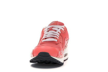 Nike Air Max 90 Powerwall Sunblush