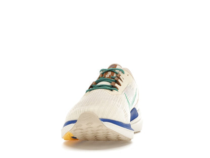 Nike Winflo 9 Premium Nike Moving Company