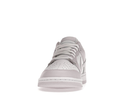 Nike Dunk Low Venice (Women's)