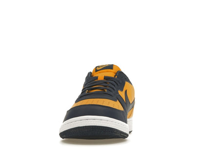 Nike Terminator Low Michigan