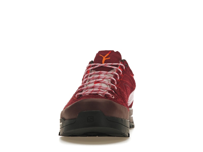 Salomon X-Alpages Gore-Tex The Broken Arm