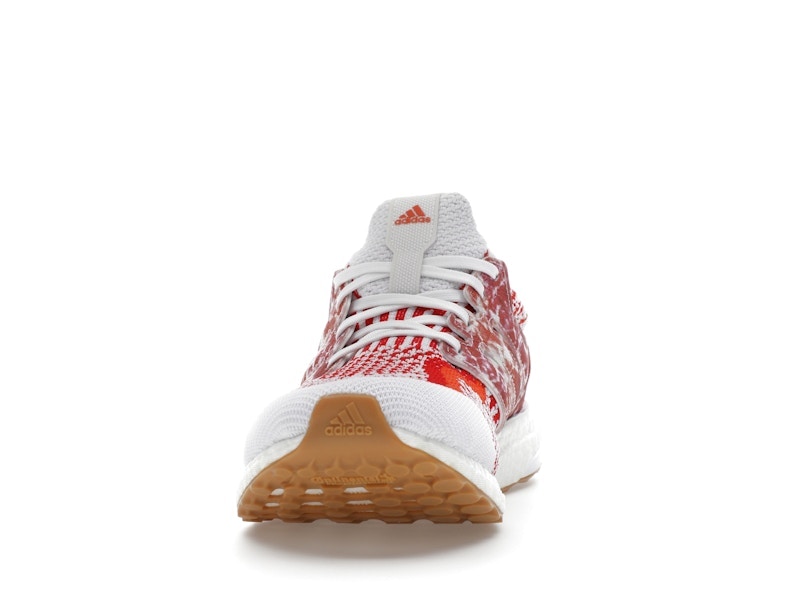 adidas Ultra Boost 5.0 DNA Nature Lab (Women's)