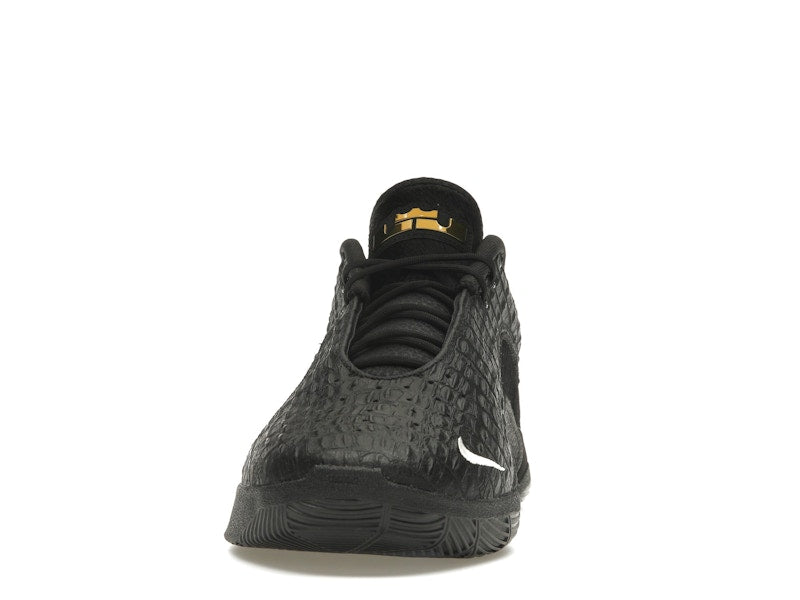 Nike LeBron 22 Black Label