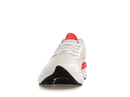 Nike Winflo 8 Rawdacious (Women's)
