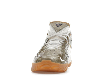 Nike LeBron 22 King of the Court (GS)