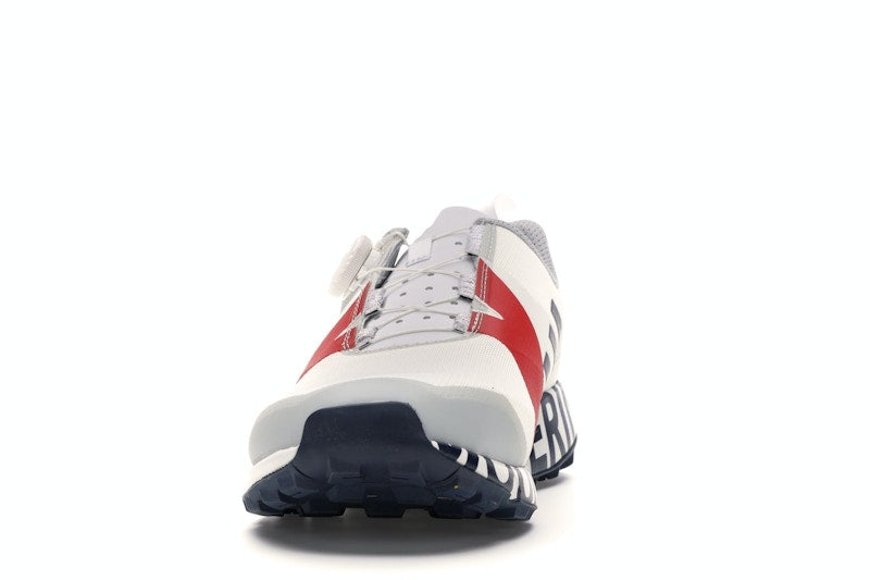 adidas Terrex White Mountaineering (White)