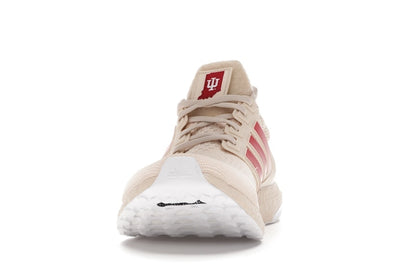 adidas Ultra Boost 1.0 Indiana