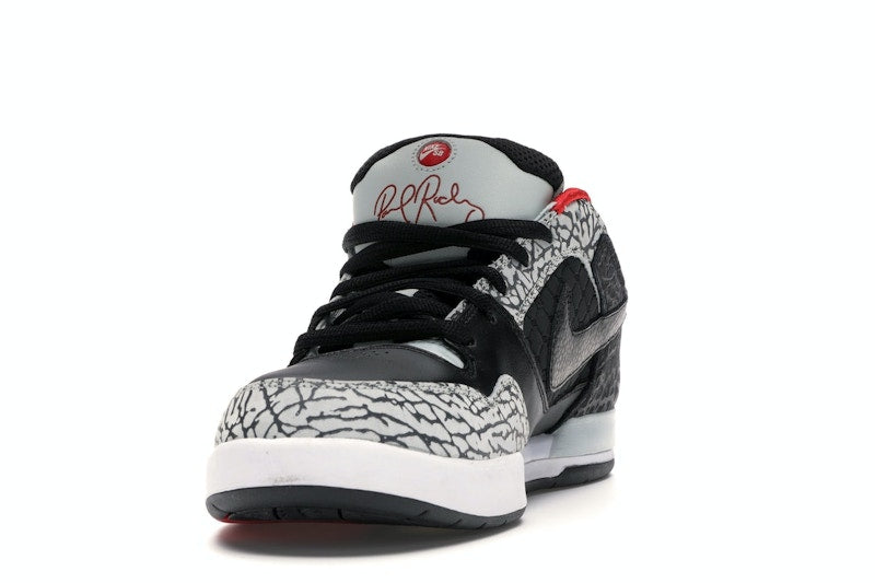Nike Paul Rodriguez 2 Zoom Air Grey Haze/Black