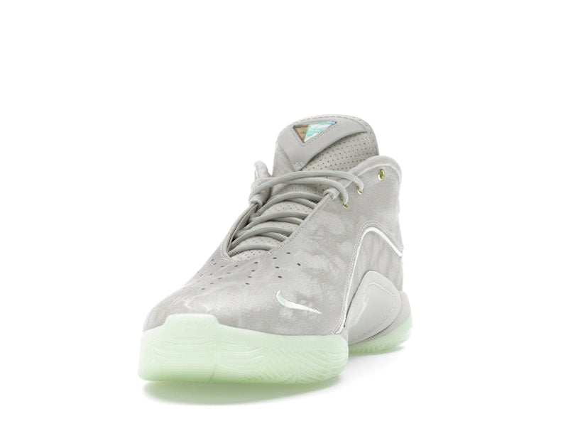 Nike LeBron 22 Dunkman (Translucent Outsole)