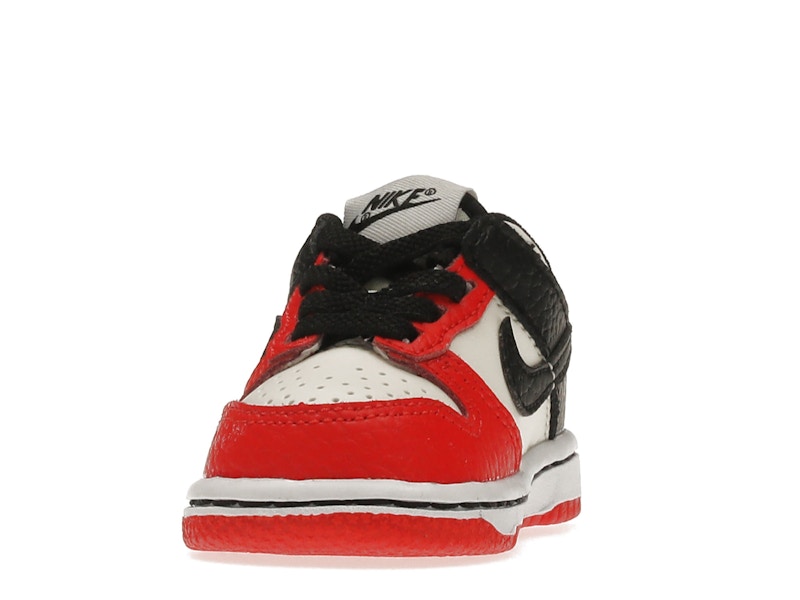 Nike Dunk Low EMB NBA 75th Anniversary Chicago (TD)