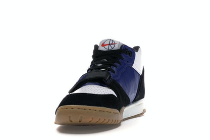 Nike SB Air Trainer 1 Polar Skate Co