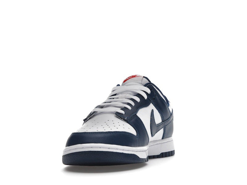 Nike Dunk Low Valerian Blue