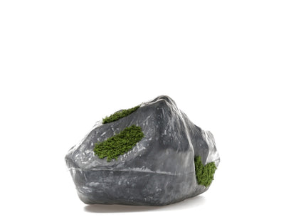 Bravest Studios Rock Shoe Canyaon Granite