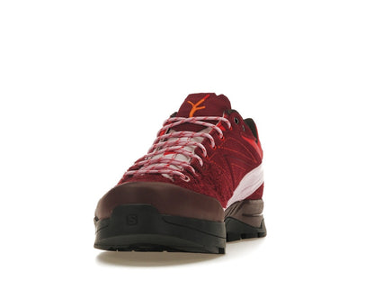 Salomon X-Alpages Gore-Tex The Broken Arm