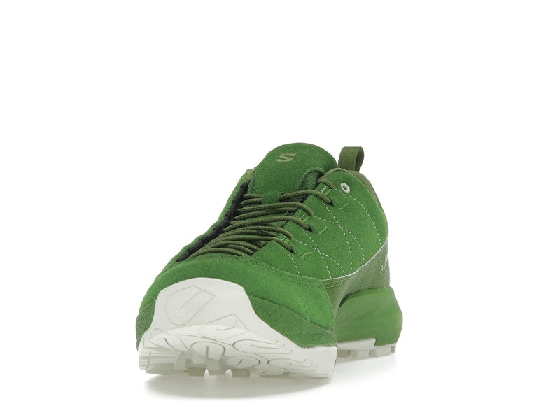 Salomon Alpinway SP2 Philéo Landowski Treetop