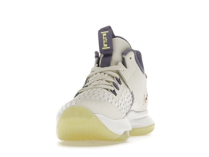 Nike LeBron Witness 5 Summit White Metallic Bronze