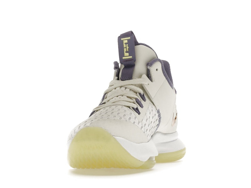 Nike LeBron Witness 5 Summit White Metallic Bronze