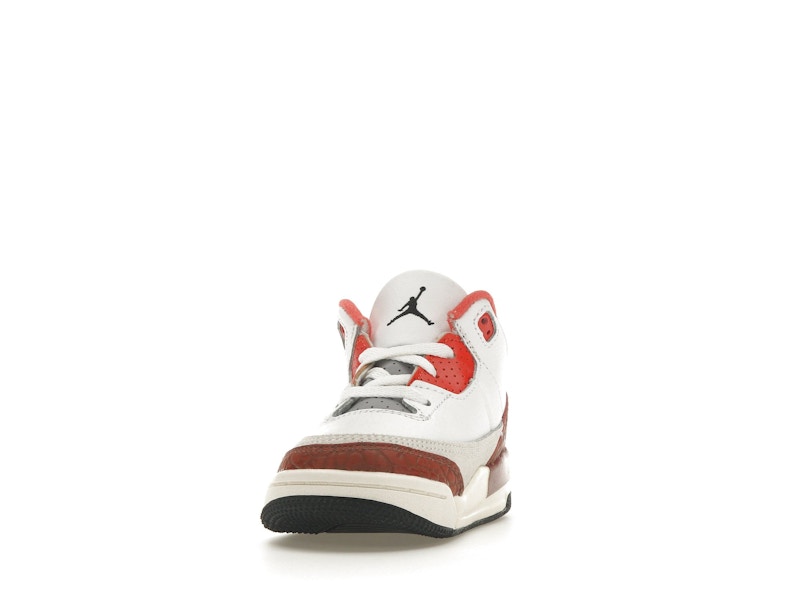 Jordan 3 Retro SE Dunk on Mars (TD)