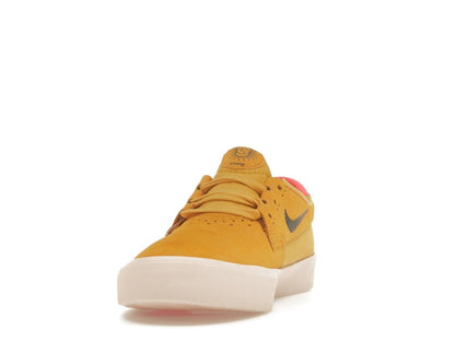 Nike SB Shane T Pollen