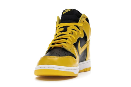 Nike Dunk High Iowa (2020)