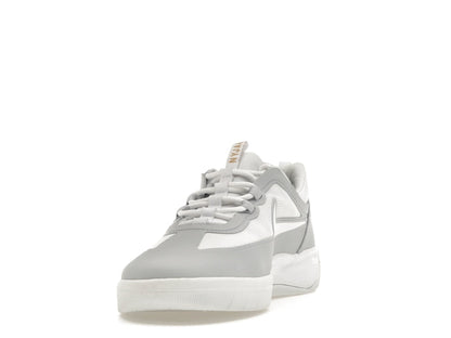 Nike Nyjah Free 2 SB Sky Grey