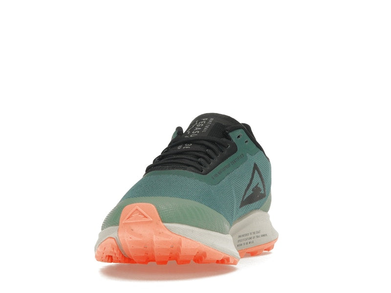 Nike Zoom Pegasus 36 Trail Gore-Tex Bicoastal (Women's)