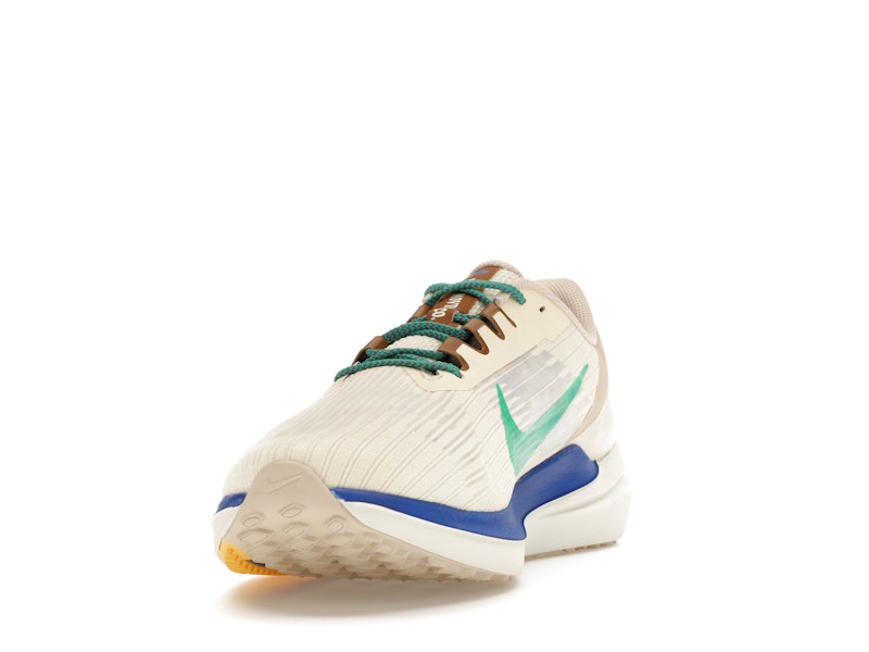Nike Winflo 9 Premium Nike Moving Company