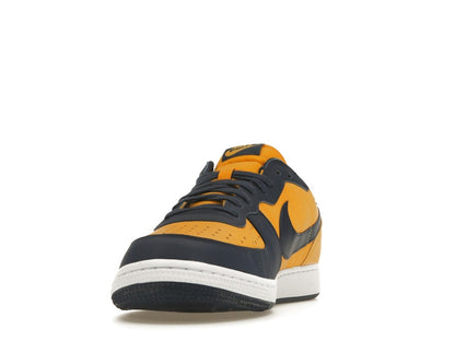 Nike Terminator Low Michigan
