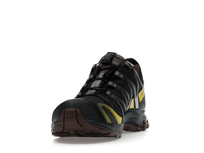 Salomon XA Pro 3D Gore-Tex Cress Green French Roast