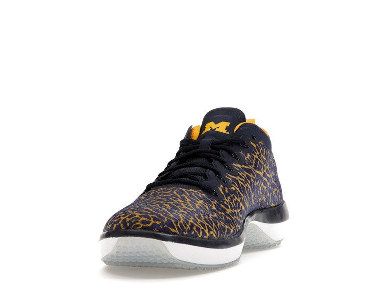 Jordan Trainer 1 Low Michigan