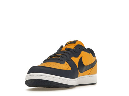 Nike Terminator Low Michigan