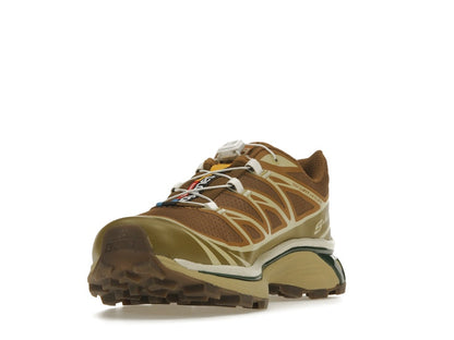 Salomon XT-6 Rubber Lizard