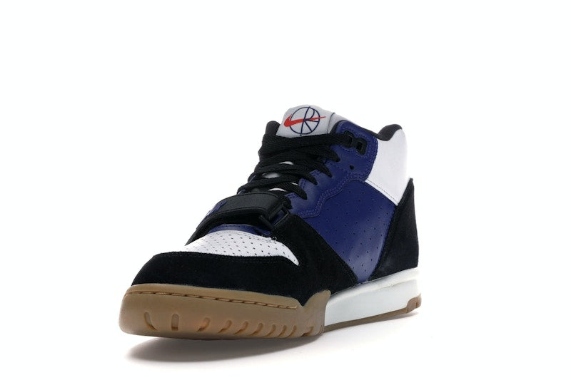 Nike SB Air Trainer 1 Polar Skate Co