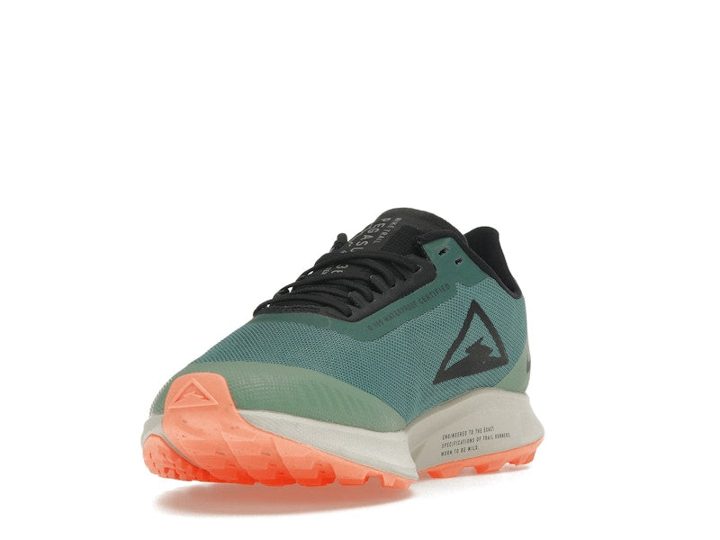 Nike Zoom Pegasus 36 Trail Gore-Tex Bicoastal (Women's)