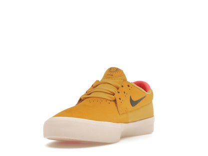 Nike SB Shane T Pollen