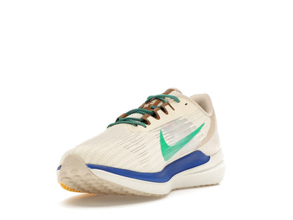 Nike Winflo 9 Premium Nike Moving Company