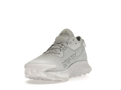 Nike Pegasus Trail 2 Gore-Tex Pure Platinum